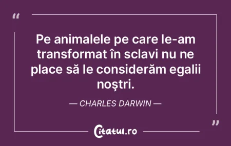 Poziţia schimbă amiciţia. Cilibi Mois... Poziţia schimbă amiciţia. Cilibi Mois...