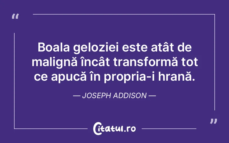 Citat Joseph Addison - citate viata