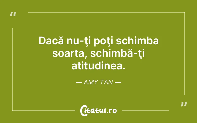 Citat Amy Tan - citate viata