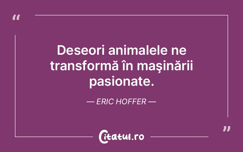 Citat Eric Hoffer - citate viata