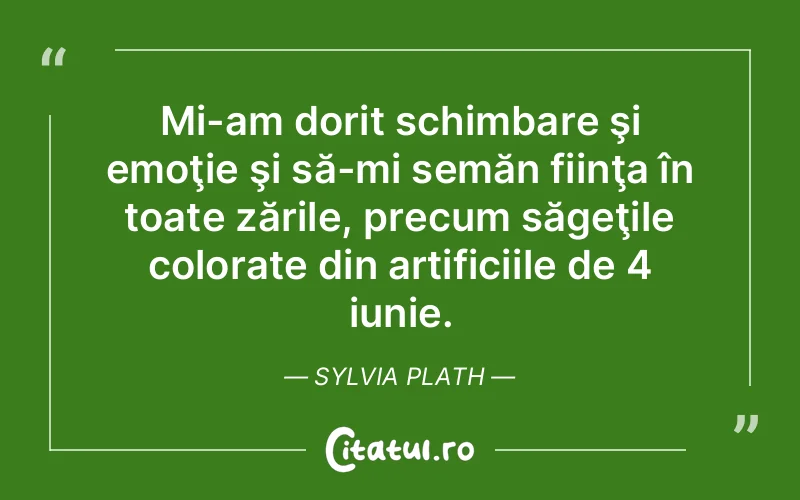 Citat Sylvia Plath - citate viata