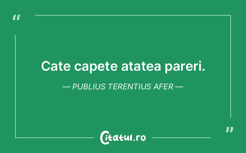 Citat Publius Terentius Afer - citate viata