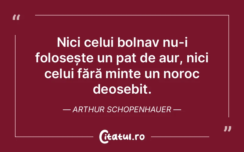 Citat Arthur Schopenhauer - citate viata