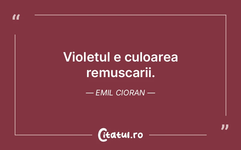 Citat Emil Cioran - citate viata