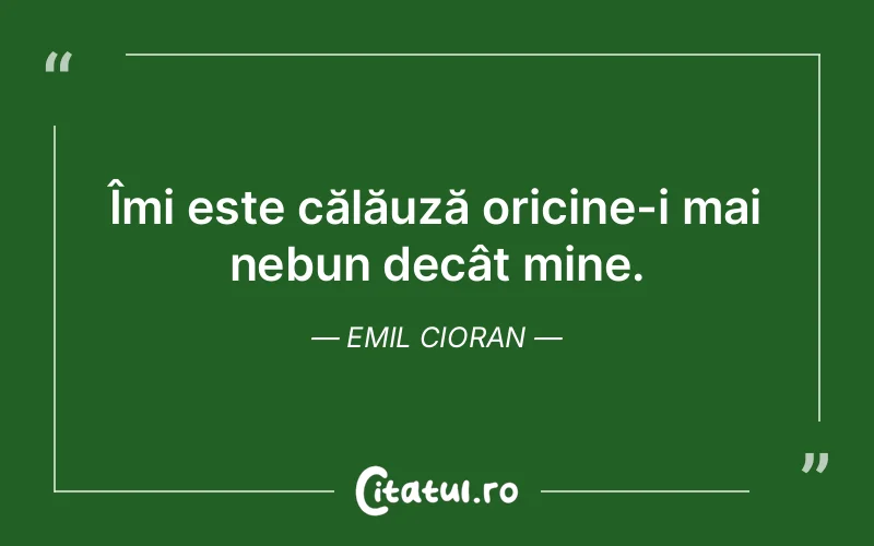 Citat Emil Cioran - citate viata