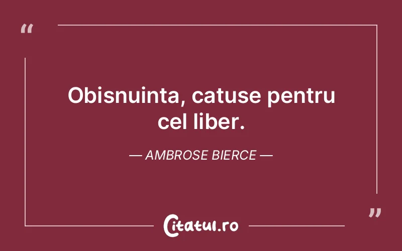 Citat Ambrose Bierce - citate viata