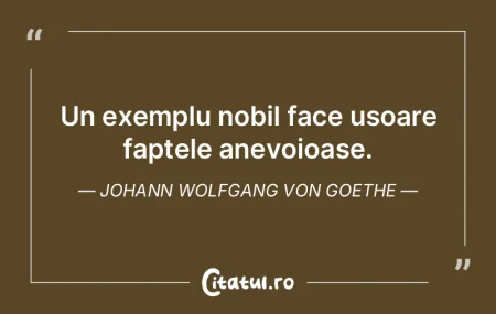 Betia nu-i altceva decat o nebunie volun...