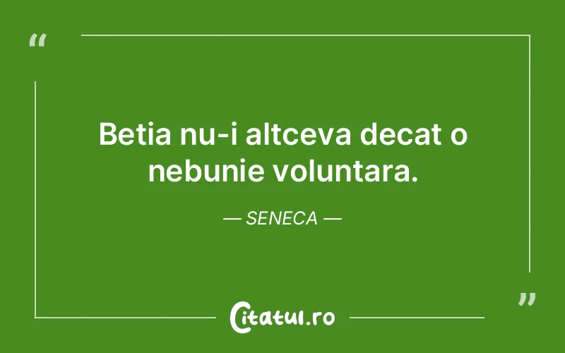 Citat Seneca - citate viata
