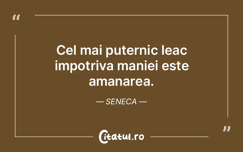 Citat Seneca - citate viata