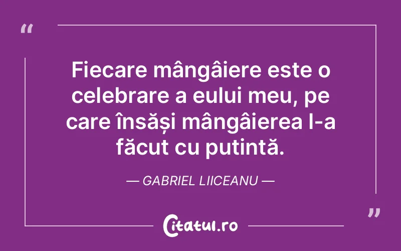 Citat Gabriel Liiceanu - citate viata