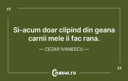 Daca voi orbi inseamna ca m-au ales zeii...