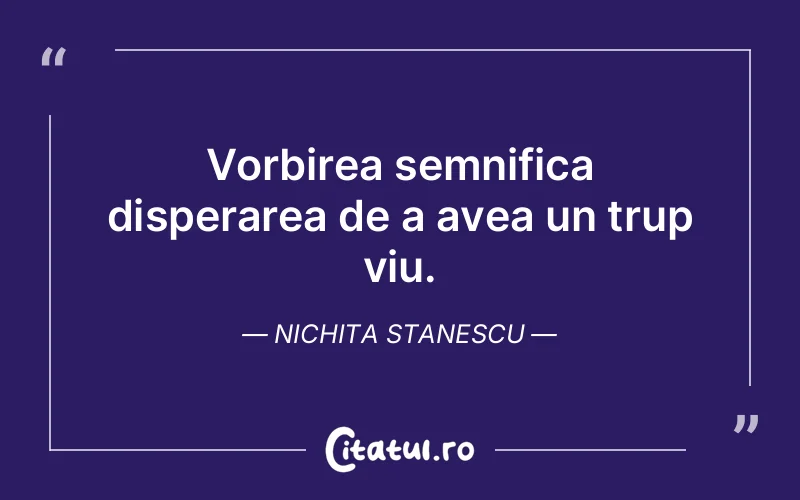 Citat Nichita Stanescu - citate viata