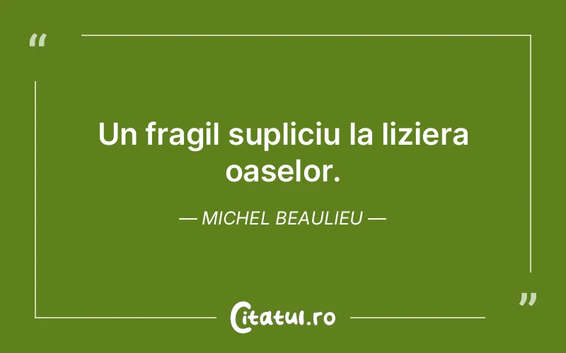 Citat Michel Beaulieu - citate viata