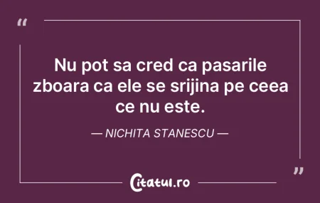 Fluturele, o petala inutila. Francis Pon...