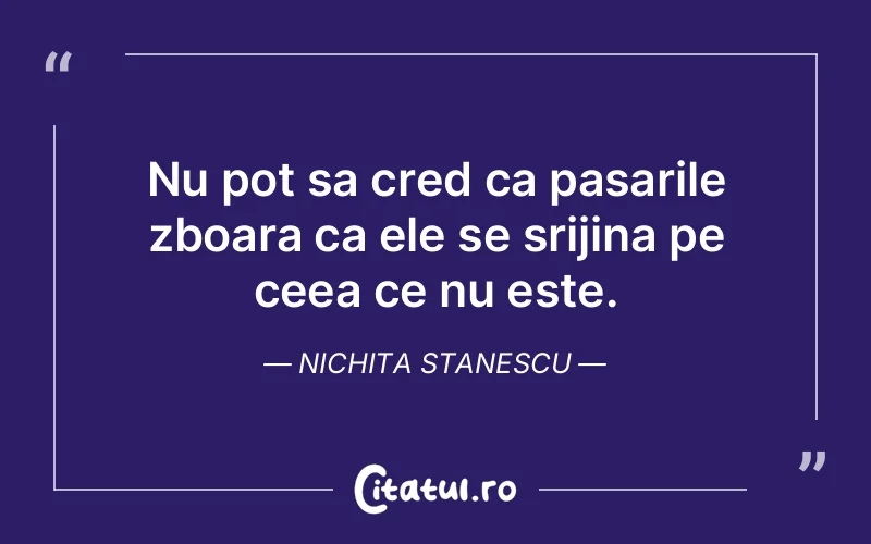 Citat Nichita Stanescu - citate viata
