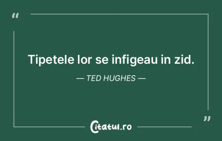 Un oranj care-È›i deschide porii, palidÄ... Un oranj care-È›i deschide porii, palidÄ...