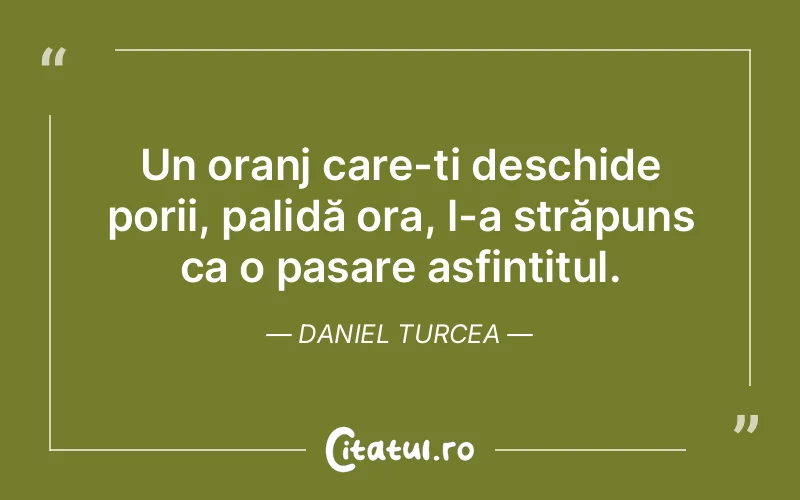 Un oranj care-ți deschide porii, palidă ora, l-a străpuns ca o pasare asfințitul. Daniel Turcea