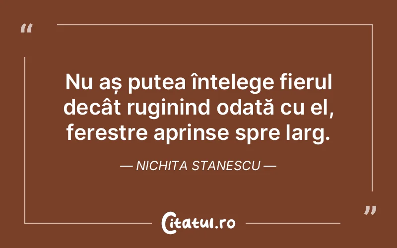 Citat Nichita Stanescu - citate viata