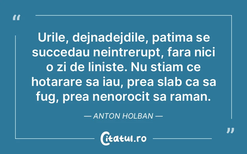 Citat Anton Holban - citate viata