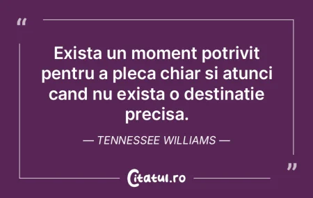 Daca as fi fost un om serios, probabil c...