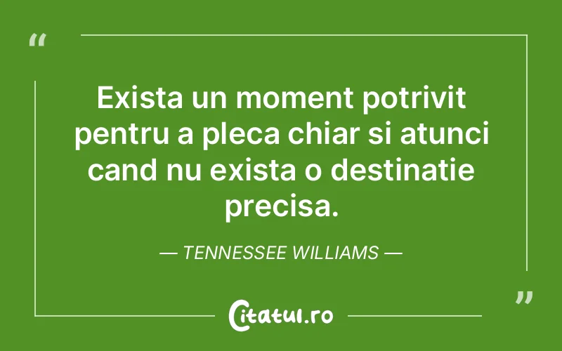 Citat Tennessee Williams - citate viata