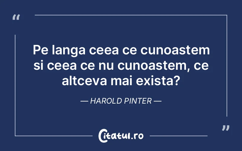 Citat Harold Pinter - citate viata