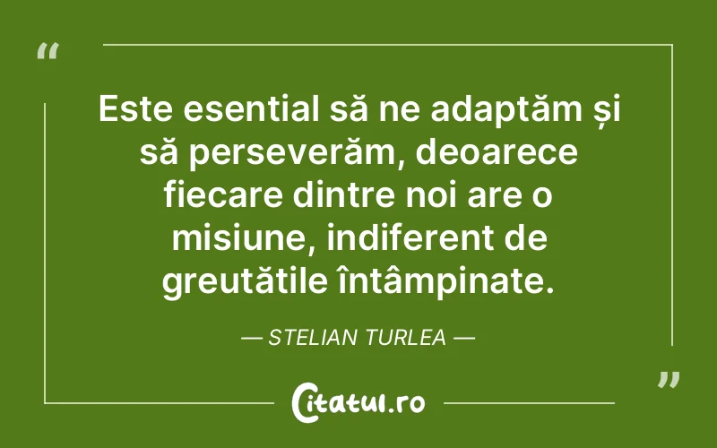 Este esențial să ne adaptăm și să perseverăm, deoarece fiecare dintre noi are o misiune, indiferent de greutățile întâmpinate. Stelian Turlea