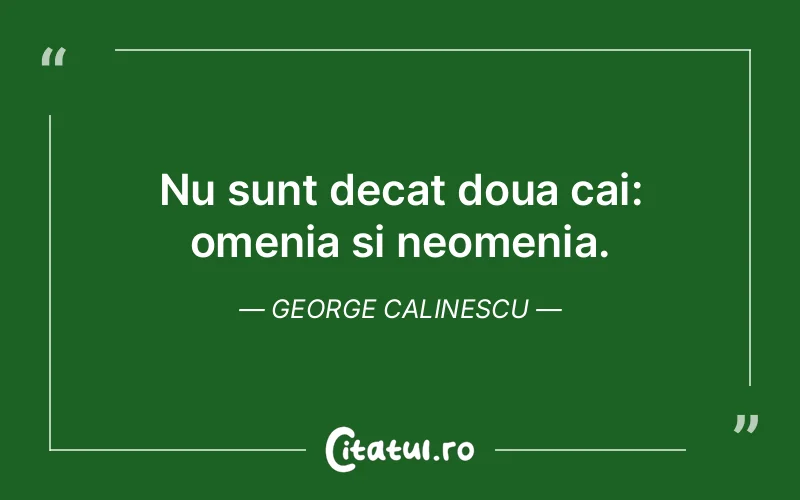 Citat George Calinescu - citate viata