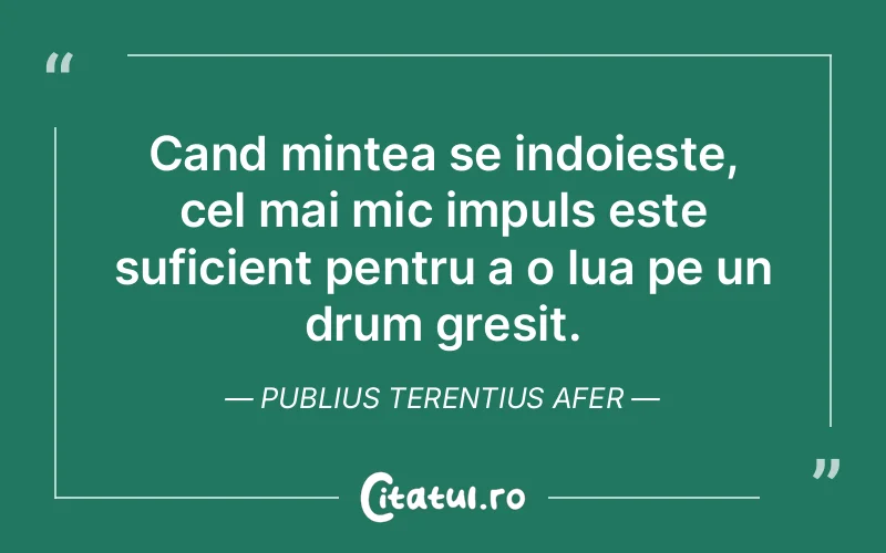 Citat Publius Terentius Afer - citate viata