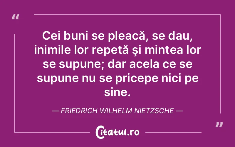 Citat Friedrich Wilhelm Nietzsche - citate viata