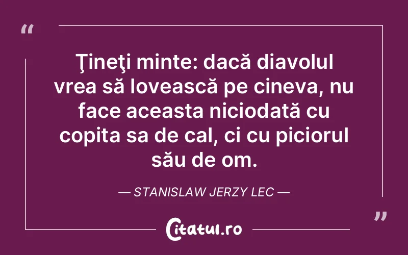 Citat Stanislaw Jerzy Lec - citate viata