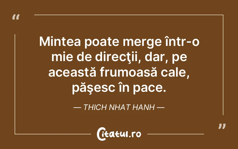 Citat Thich Nhat Hanh - citate viata