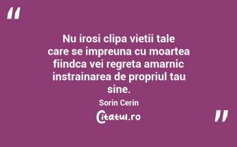 Nu irosi clipa vietii tale care se impreuna cu moartea fiindca vei regreta amarnic instrainarea de propriul tau sine. Sorin Cerin...
