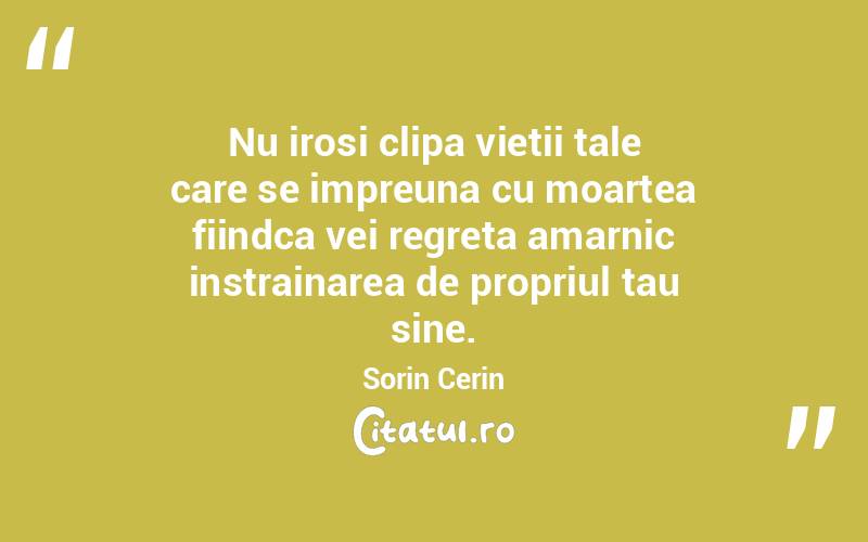Nu irosi clipa vietii tale care se impreuna cu moartea fiindca vei regreta amarnic instrainarea de propriul tau sine. Sorin Cerin