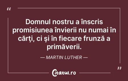 Cărţile mă întâmpină întotdeauna ... Cărţile mă întâmpină întotdeauna ...