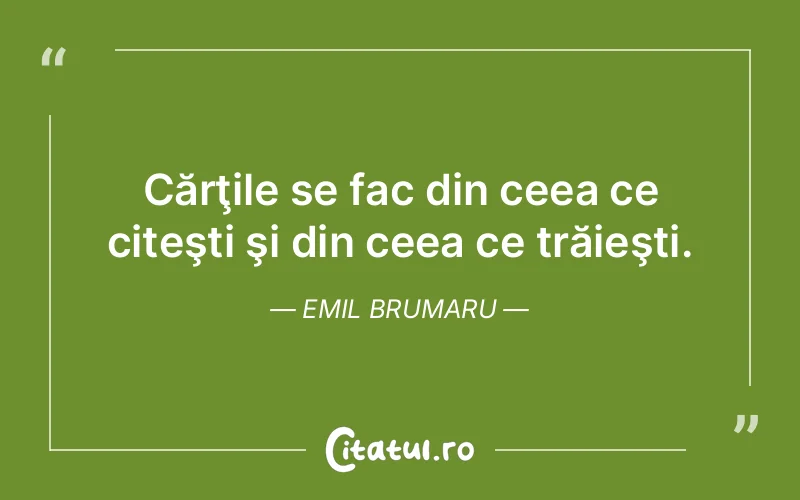 Citat Emil Brumaru - citate viata