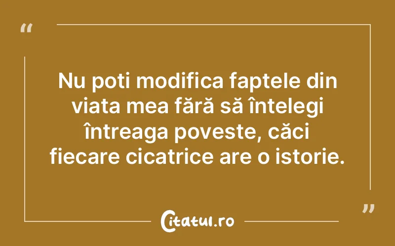 Citat Autor necunoscut - citate viata