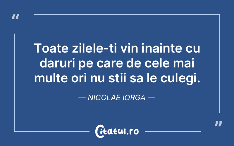 Citat Nicolae Iorga - citate viata