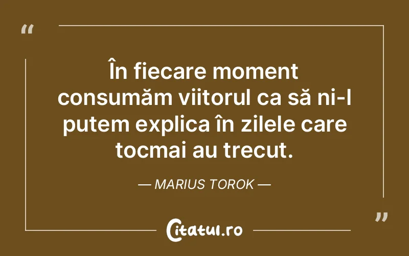 Citat Marius Torok - citate viata