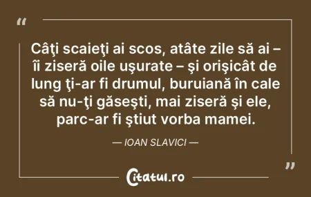 În zilele noastre, nu mai ştim să vor...