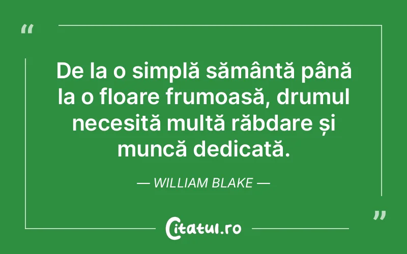 Citat William Blake - citate viata
