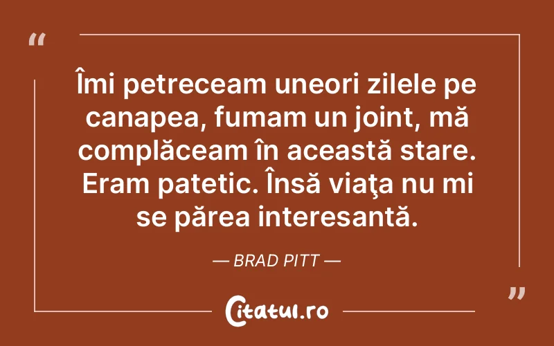 Citat Brad Pitt - citate viata