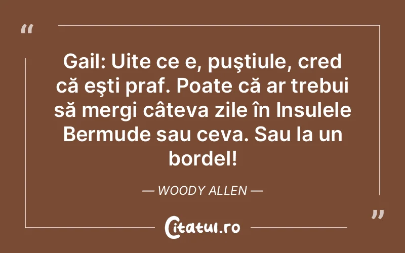 Citat Woody Allen - citate viata