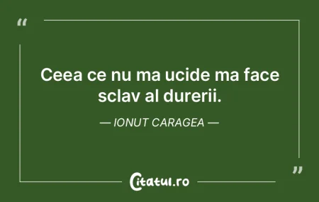 Cei mai nedrepti sunt cai care vorbesc c... Cei mai nedrepti sunt cai care vorbesc c...