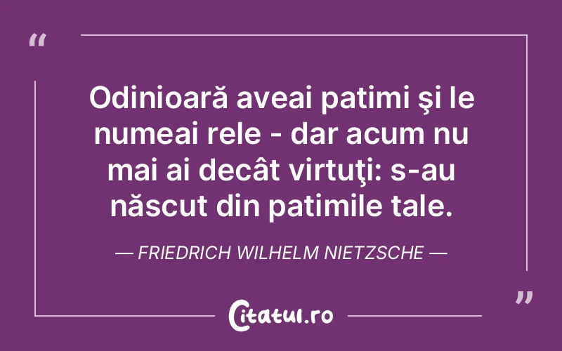 Citat Friedrich Wilhelm Nietzsche - citate viata