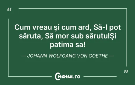 N-aş putea acum să desenez nici măcar...