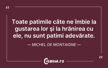 Ambiţiosul suie un munte veşnic înneg...