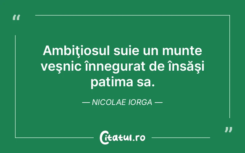 Citat Nicolae Iorga - citate viata