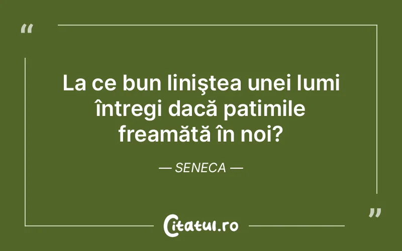 Citat Seneca - citate viata