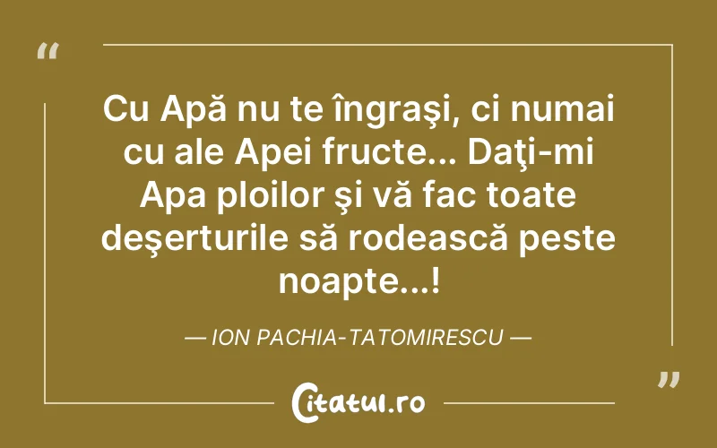 Citat Autor necunoscut - citate viata